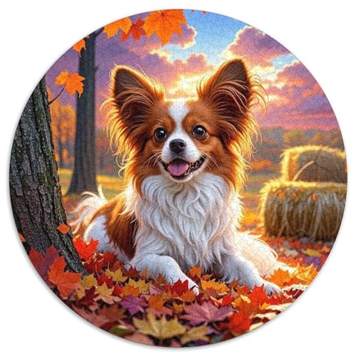 Papillon 1000 Teile Rundes Puzzle Kreatives Hund Geschenk Unmögliches Spiel Für Die Ganze Familie 1000pcs (67.5x67.5cm) von ZXOAWQX