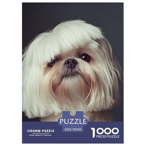 Pekinger 1000 Teile Puzzles Classic Lernspiel Herausforderung Spielzeug Für Erwachsene Tolle Geschenkidee 70x50cm/1000pcs von ZXOAWQX