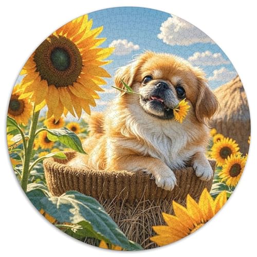Pekinger 1000 Teile Rundes Puzzle Stressabbau Hund Geschenk Unmögliches Spiel Für Erwachsene Und Kinder 1000pcs (67.5x67.5cm) von ZXOAWQX