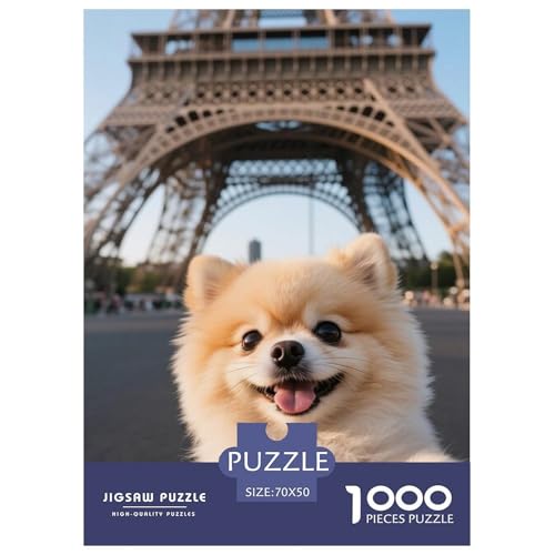 Pommern 1000 Teile Puzzles Hund Dekoration Klassisches Lernspiel Für Erwachsene Und Kinder Ab 12 Jahren Tolle Geschenkidee 70x50cm/1000pcs von ZXOAWQX