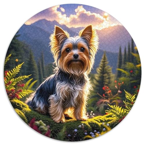 Yorkshire Terrier 1000 Teile Rundes Puzzle Stressabbau Hund Geschenk Unmögliches Spiel Für Die Ganze Familie 1000pcs (67.5x67.5cm) von ZXOAWQX