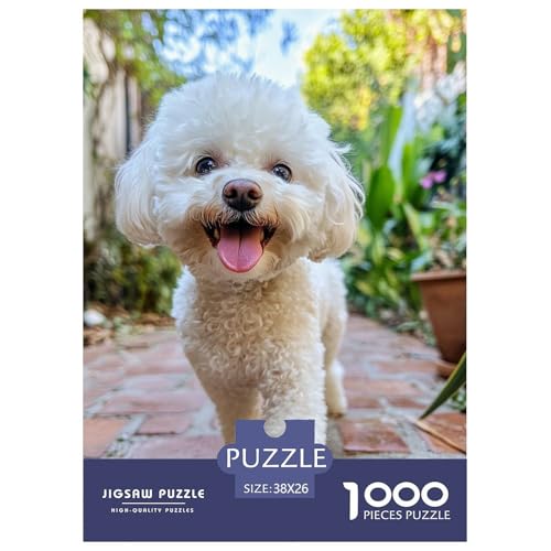 maltesisch 1000 Teile Puzzles Puzzlespiele EIN Herausforderndes Für Erwachsene Und Kinder Ab 12 Jahren Tolle Geschenkidee 38x26cm/1000pcs von ZXOAWQX