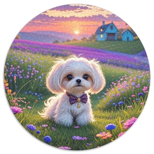 maltesisch 1000 Teile Rundes Puzzle Kreatives Hund Geschenk Puzzlespiele Für Die Ganze Familie 1000pcs (67.5x67.5cm) von ZXOAWQX