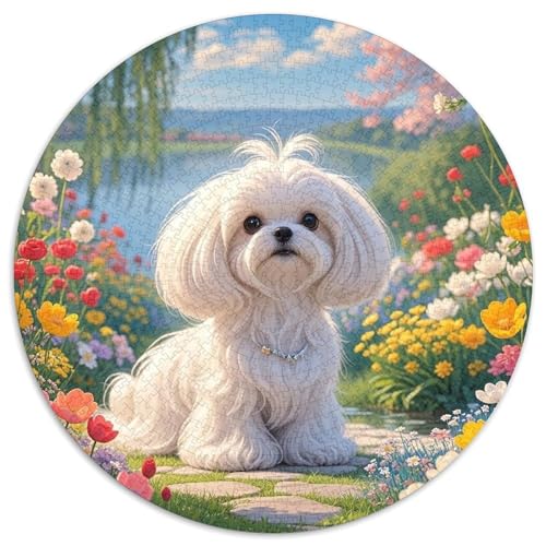 maltesisch 1000 Teile Rundes Puzzle Kreatives Hund Geschenk Unmögliches Spiel Für Die Ganze Familie 1000pcs (67.5x67.5cm) von ZXOAWQX