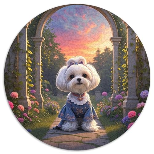 maltesisch 1000 Teile Rundes Puzzle Kreatives Hund Geschenk Unmögliches Spiel Für Die Ganze Familie 1000pcs (67.5x67.5cm) von ZXOAWQX