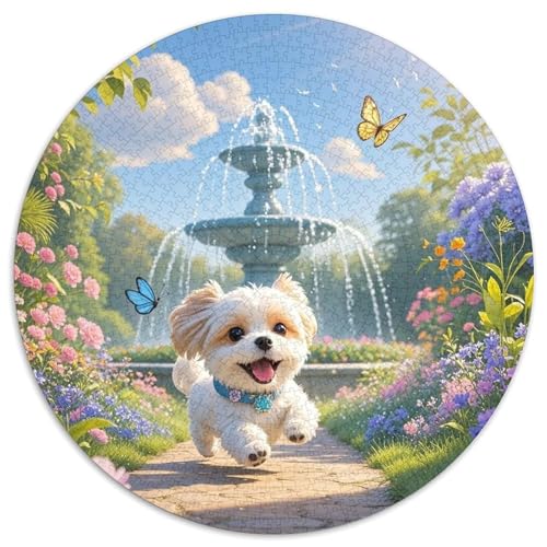 maltesisch 1000 Teile Rundes Puzzle Kreatives Hund Geschenk Unmögliches Spiel Für Die Ganze Familie 1000pcs (67.5x67.5cm) von ZXOAWQX