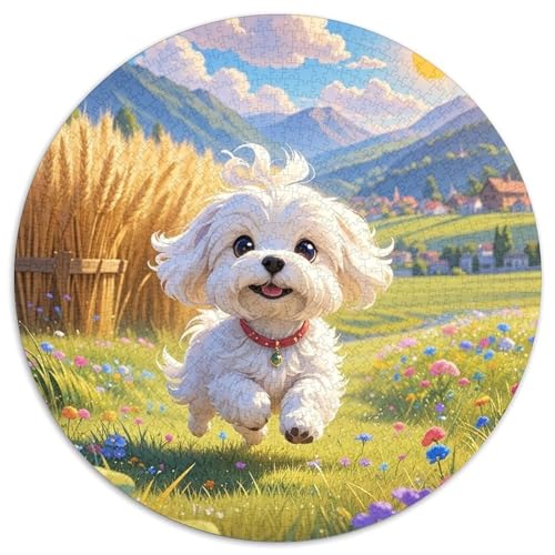 maltesisch 1000 Teile Rundes Puzzle Kreatives Hund Geschenk Unmögliches Spiel Für Erwachsene Und Kinder 1000pcs (67.5x67.5cm) von ZXOAWQX