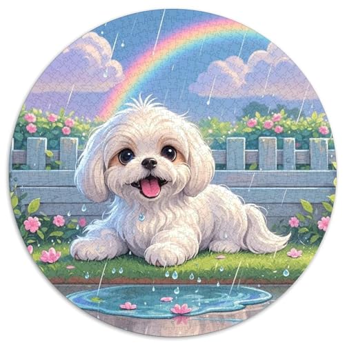 maltesisch 1000 Teile Rundes Puzzle Kreatives Hund Jigsaw Geschenk EIN Herausforderndes Puzzle Für Erwachsene Und Kinder 1000pcs (67.5x67.5cm) von ZXOAWQX