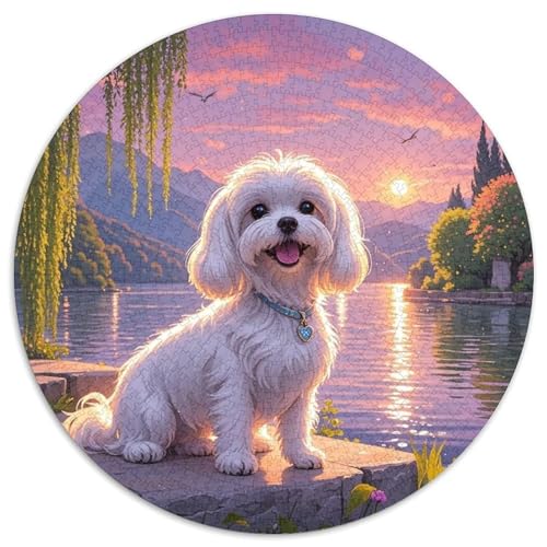 maltesisch 1000 Teile Rundes Puzzle Kreatives Hund Jigsaw Geschenk Unmögliches Spiel Für Erwachsene Und Kinder 1000pcs (67.5x67.5cm) von ZXOAWQX