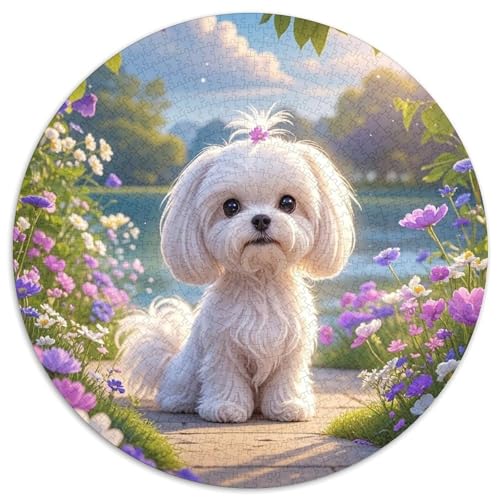 maltesisch 1000 Teile Rundes Puzzle Kreatives Hund Jigsaw Geschenk Unmögliches Spiel Für Erwachsene Und Kinder 1000pcs (67.5x67.5cm) von ZXOAWQX