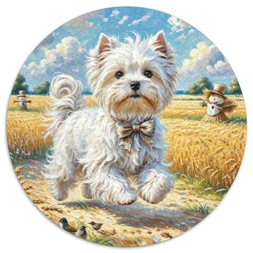 maltesisch 1000 Teile Rundes Puzzle Stressabbau Hund Geschenk Unmögliches Spiel Für Erwachsene Und Kinder 1000pcs (67.5x67.5cm) von ZXOAWQX