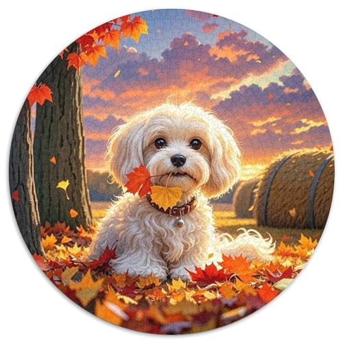 maltesisch 1000 Teile Rundes Puzzle Stressabbau Hund Jigsaw Geschenk Unmögliches Spiel Für Erwachsene Und Kinder 1000pcs (67.5x67.5cm) von ZXOAWQX