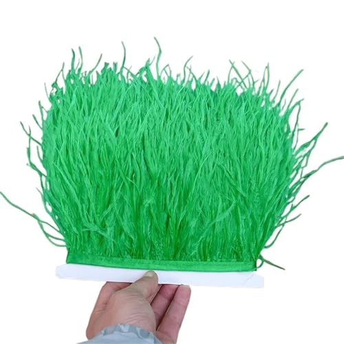 1/5/10 Meter Straußenfederbesatz Kleid for Frauen Weiche Federn Fransen Hochzeitsrock Dekoration Party Stoffband für Bastelarbeiten Hochzeit Party Dekoration(Beige,10meters) von ZYFHYU