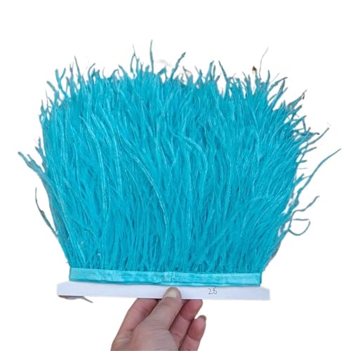 1/5/10 Meter Straußenfederbesatz Kleid for Frauen Weiche Federn Fransen Hochzeitsrock Dekoration Party Stoffband für Bastelarbeiten Hochzeit Party Dekoration(Lake Blue,10meters) von ZYFHYU