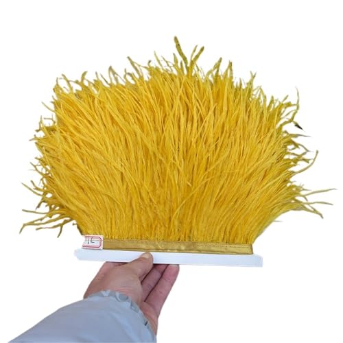 1/5/10 Meter Straußenfederbesatz Kleid for Frauen Weiche Federn Fransen Hochzeitsrock Dekoration Party Stoffband für Bastelarbeiten Hochzeit Party Dekoration(Orange,1meter) von ZYFHYU