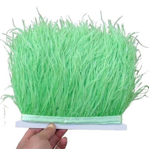 1/5/10 Meter Straußenfederbesatz Kleid for Frauen Weiche Federn Fransen Hochzeitsrock Dekoration Party Stoffband für Bastelarbeiten Hochzeit Party Dekoration(Red,5meters) von ZYFHYU