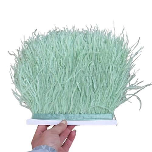 1/5/10 Meter Straußenfederbesatz Kleid for Frauen Weiche Federn Fransen Hochzeitsrock Dekoration Party Stoffband für Bastelarbeiten Hochzeit Party Dekoration(Silver,5meters) von ZYFHYU