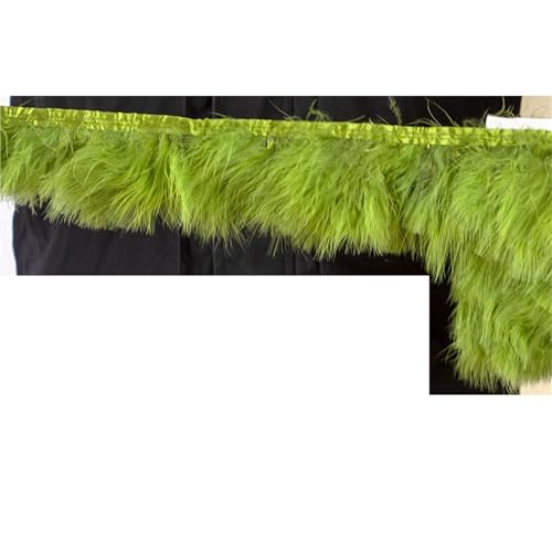 1 Meter Flauschige Federn, Fransenband, 10–15 cm, Feder auf Band, Fransen, Nähen, Party, Kleidung, Kleid, Dekoration für Bastelarbeiten Hochzeit Party Dekoration(Green2) von ZYFHYU