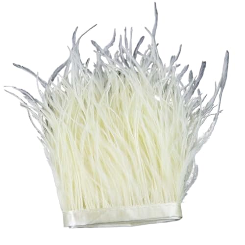 1 m, 6–22 cm, Straußenfedern, Besatz for Hochzeitskleid, Kleidung, Accessoires, Party-Dekoration, Pflaumenfransen für Bastelarbeiten Hochzeit Party Dekoration(Beige,15-18 cm) von ZYFHYU