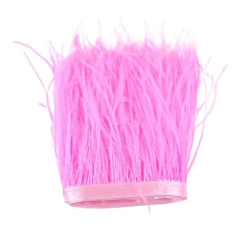 1 m, 6–22 cm, Straußenfedern, Besatz for Hochzeitskleid, Kleidung, Accessoires, Party-Dekoration, Pflaumenfransen für Bastelarbeiten Hochzeit Party Dekoration(Deep pink,10-15CM) von ZYFHYU