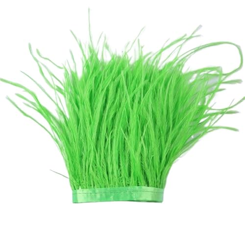 1 m, 6–22 cm, Straußenfedern, Besatz for Hochzeitskleid, Kleidung, Accessoires, Party-Dekoration, Pflaumenfransen für Bastelarbeiten Hochzeit Party Dekoration(Green2,6-8 cm) von ZYFHYU