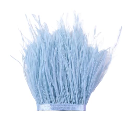 1 m, 6–22 cm, Straußenfedern, Besatz for Hochzeitskleid, Kleidung, Accessoires, Party-Dekoration, Pflaumenfransen für Bastelarbeiten Hochzeit Party Dekoration(Light Blue,15-18 cm) von ZYFHYU