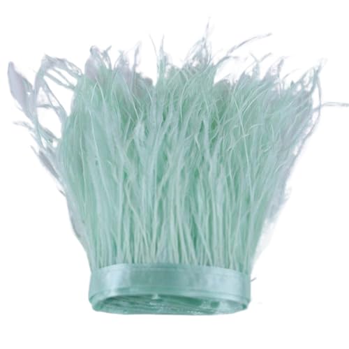 1 m, 6–22 cm, Straußenfedern, Besatz for Hochzeitskleid, Kleidung, Accessoires, Party-Dekoration, Pflaumenfransen für Bastelarbeiten Hochzeit Party Dekoration(Mint Green,15-18 cm) von ZYFHYU