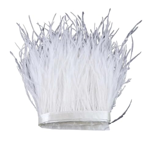 1 m, 6–22 cm, Straußenfedern, Besatz for Hochzeitskleid, Kleidung, Accessoires, Party-Dekoration, Pflaumenfransen für Bastelarbeiten Hochzeit Party Dekoration(Natural White,15-18 cm) von ZYFHYU