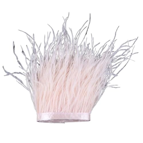 1 m, 6–22 cm, Straußenfedern, Besatz for Hochzeitskleid, Kleidung, Accessoires, Party-Dekoration, Pflaumenfransen für Bastelarbeiten Hochzeit Party Dekoration(Pink,8-10 cm) von ZYFHYU