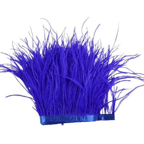1 m, 6–22 cm, Straußenfedern, Besatz for Hochzeitskleid, Kleidung, Accessoires, Party-Dekoration, Pflaumenfransen für Bastelarbeiten Hochzeit Party Dekoration(ROYAL Blue,10-15CM) von ZYFHYU