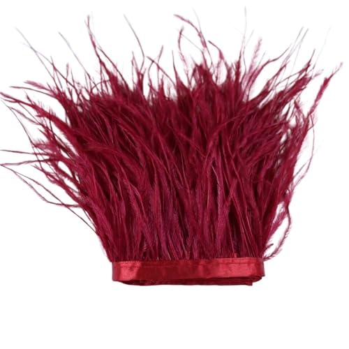 1 m, 6–22 cm, Straußenfedern, Besatz for Hochzeitskleid, Kleidung, Accessoires, Party-Dekoration, Pflaumenfransen für Bastelarbeiten Hochzeit Party Dekoration(Red2,8-10 cm) von ZYFHYU