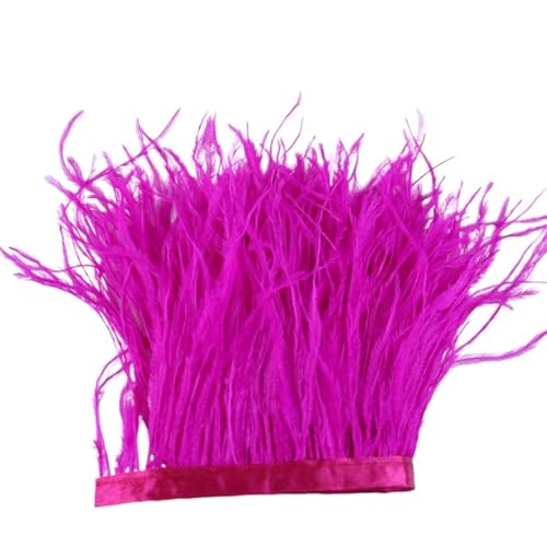 1 m, 6–22 cm, Straußenfedern, Besatz for Hochzeitskleid, Kleidung, Accessoires, Party-Dekoration, Pflaumenfransen für Bastelarbeiten Hochzeit Party Dekoration(Rose red,8-10 cm) von ZYFHYU