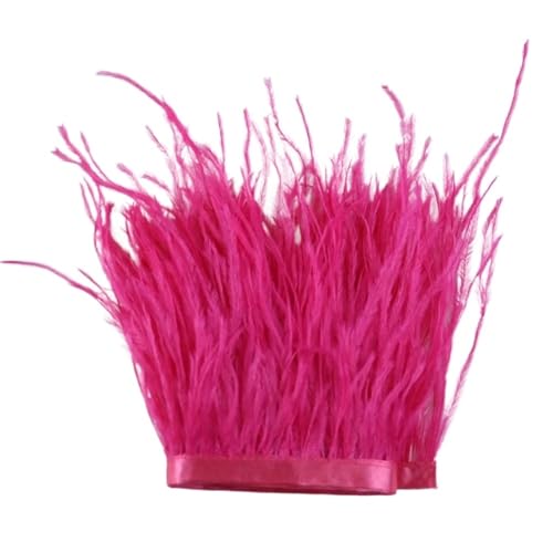 1 m, 6–22 cm, Straußenfedern, Besatz for Hochzeitskleid, Kleidung, Accessoires, Party-Dekoration, Pflaumenfransen für Bastelarbeiten Hochzeit Party Dekoration(Watermelon red,6-8 cm) von ZYFHYU