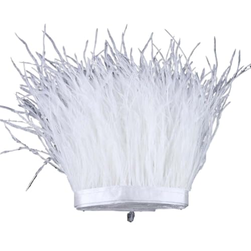 1 m, 6–22 cm, Straußenfedern, Besatz for Hochzeitskleid, Kleidung, Accessoires, Party-Dekoration, Pflaumenfransen für Bastelarbeiten Hochzeit Party Dekoration(White1,8-10 cm) von ZYFHYU