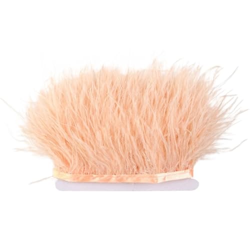 1 m Flauschige Straußenfedern, Fransenbesatz, 8–10 cm, Hochzeitsfeier, Dekoration, Federband for Kleid, Kleidung, Nähen, Basteln für Bastelarbeiten Hochzeit Party Dekoration(Champagne) von ZYFHYU