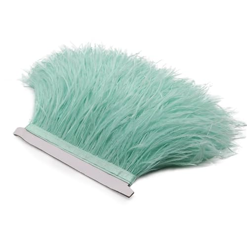 1 m Flauschige Straußenfedern, Fransenbesatz, 8–10 cm, Hochzeitsfeier, Dekoration, Federband for Kleid, Kleidung, Nähen, Basteln für Bastelarbeiten Hochzeit Party Dekoration(Mint Green) von ZYFHYU