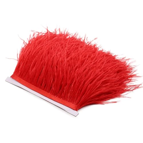 1 m Flauschige Straußenfedern, Fransenbesatz, 8–10 cm, Hochzeitsfeier, Dekoration, Federband for Kleid, Kleidung, Nähen, Basteln für Bastelarbeiten Hochzeit Party Dekoration(Red) von ZYFHYU