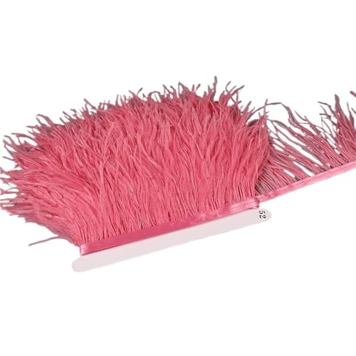 10–15 cm Straußenfedern auf Band, , Fransenbesatz for Nähen von Garnituren, Federn in Kleidern, Kostümen für Bastelarbeiten Hochzeit Party Dekoration(12,1 Meter) von ZYFHYU