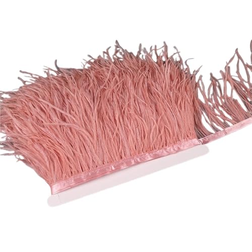 10–15 cm Straußenfedern auf Band, , Fransenbesatz for Nähen von Garnituren, Federn in Kleidern, Kostümen für Bastelarbeiten Hochzeit Party Dekoration(17,5 Meters) von ZYFHYU