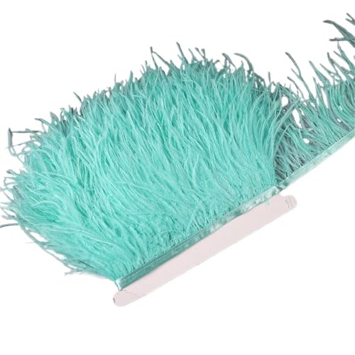 10–15 cm Straußenfedern auf Band, , Fransenbesatz for Nähen von Garnituren, Federn in Kleidern, Kostümen für Bastelarbeiten Hochzeit Party Dekoration(2,1 Meter) von ZYFHYU