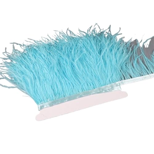 10–15 cm Straußenfedern auf Band, , Fransenbesatz for Nähen von Garnituren, Federn in Kleidern, Kostümen für Bastelarbeiten Hochzeit Party Dekoration(22,5 Meters) von ZYFHYU