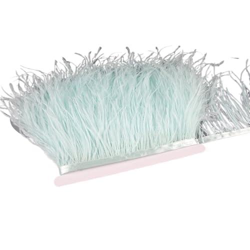 10–15 cm Straußenfedern auf Band, , Fransenbesatz for Nähen von Garnituren, Federn in Kleidern, Kostümen für Bastelarbeiten Hochzeit Party Dekoration(24,1 Meter) von ZYFHYU