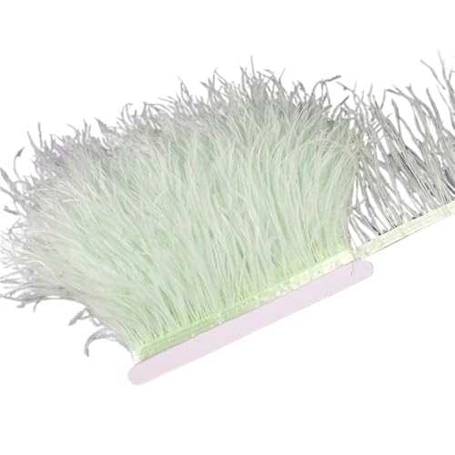 10–15 cm Straußenfedern auf Band, , Fransenbesatz for Nähen von Garnituren, Federn in Kleidern, Kostümen für Bastelarbeiten Hochzeit Party Dekoration(4,10 Meters) von ZYFHYU