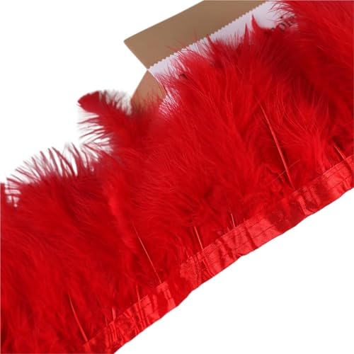 10 Meter Federbesatzband, Federfransen for Hochzeitskleid, Dekor, Nähzubehör für Bastelarbeiten Hochzeit Party Dekoration(Red) von ZYFHYU
