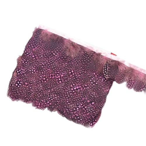 10 Meter Geflügelfederbesatz Quaste Fransenband Fasanenfedern for Kleidungsbesätze Kostüm Nähen Bekleidungszubehör für Bastelarbeiten Hochzeit Party Dekoration(Pink) von ZYFHYU