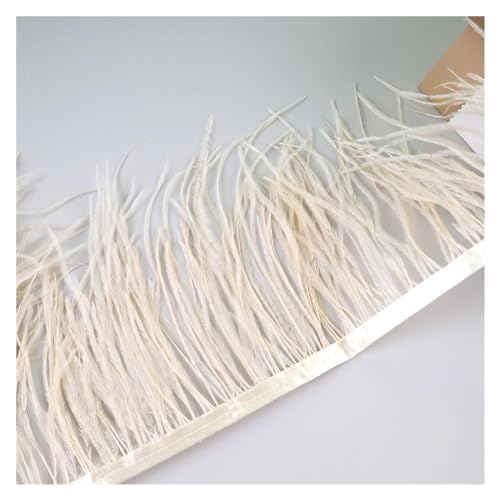 10 Meter Straußenfedern, Fransenbesatz for Handarbeiten und Kunsthandwerk, Federkleid-Zubehör, Federn, Fransen for Kleidung für Bastelarbeiten Hochzeit Party Dekoration(Beige) von ZYFHYU