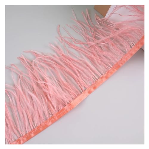 10 Meter Straußenfedern, Fransenbesatz for Handarbeiten und Kunsthandwerk, Federkleid-Zubehör, Federn, Fransen for Kleidung für Bastelarbeiten Hochzeit Party Dekoration(Dark Coral) von ZYFHYU