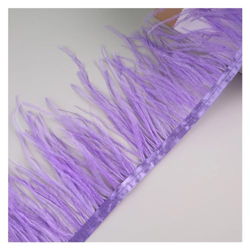 10 Meter Straußenfedern, Fransenbesatz for Handarbeiten und Kunsthandwerk, Federkleid-Zubehör, Federn, Fransen for Kleidung für Bastelarbeiten Hochzeit Party Dekoration(Dark Violet) von ZYFHYU