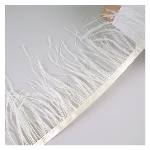 10 Meter Straußenfedern, Fransenbesatz for Handarbeiten und Kunsthandwerk, Federkleid-Zubehör, Federn, Fransen for Kleidung für Bastelarbeiten Hochzeit Party Dekoration(Ivory) von ZYFHYU