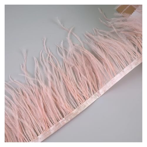 10 Meter Straußenfedern, Fransenbesatz for Handarbeiten und Kunsthandwerk, Federkleid-Zubehör, Federn, Fransen for Kleidung für Bastelarbeiten Hochzeit Party Dekoration(Light Coral) von ZYFHYU